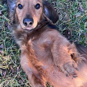 Fundraising Page: Adrienne Korkosz